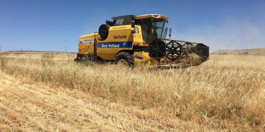 Kahta'da Artık İmara Açılmış Yerlerde Buğday ve Arpa Ekilmeyecek