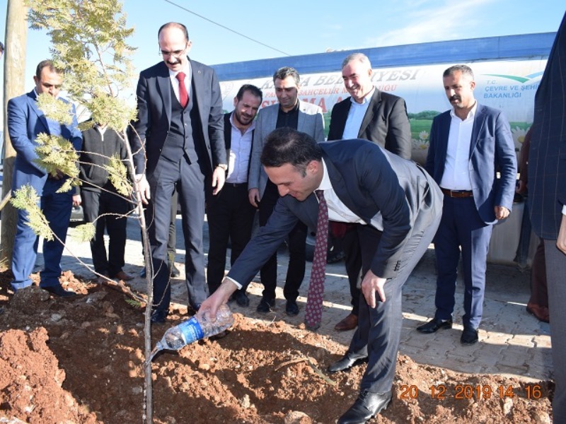 Kahta Belediyesi 10 Bin Ağaç Dikimini Başlattı
