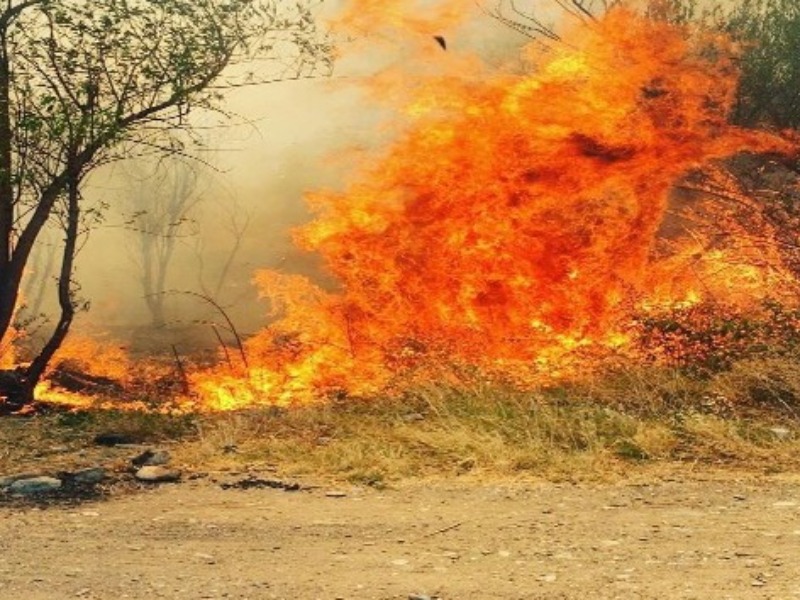 Kahta Çayı yakınlarında bulunan sazlık ve ormanlık alan yandı