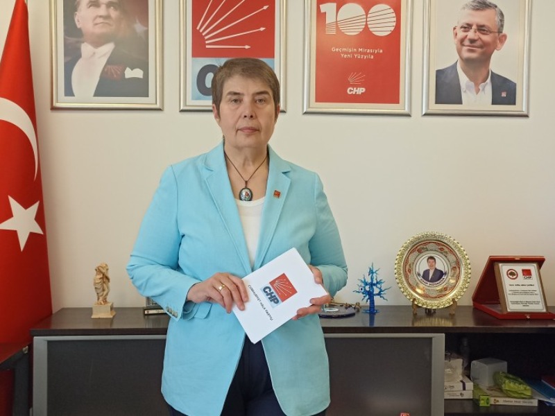CHP'li Şabaz sağlık çalışanlarına yönelik şiddeti değerlendirdi