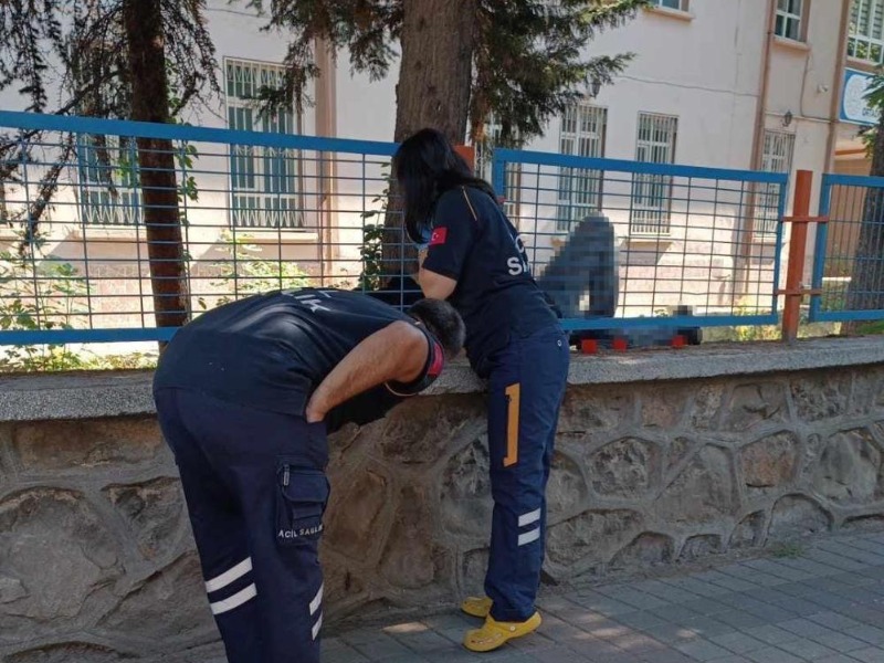 Bir