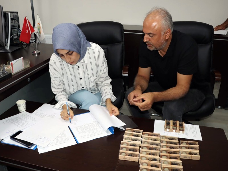 Adıyaman'da 200 Damızlık Kafkas Irkı Ana Arı Dağıtıldı