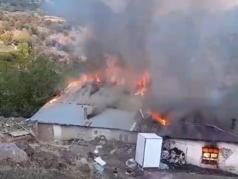 Sincik'te çıkan yangında iki ev küle döndü