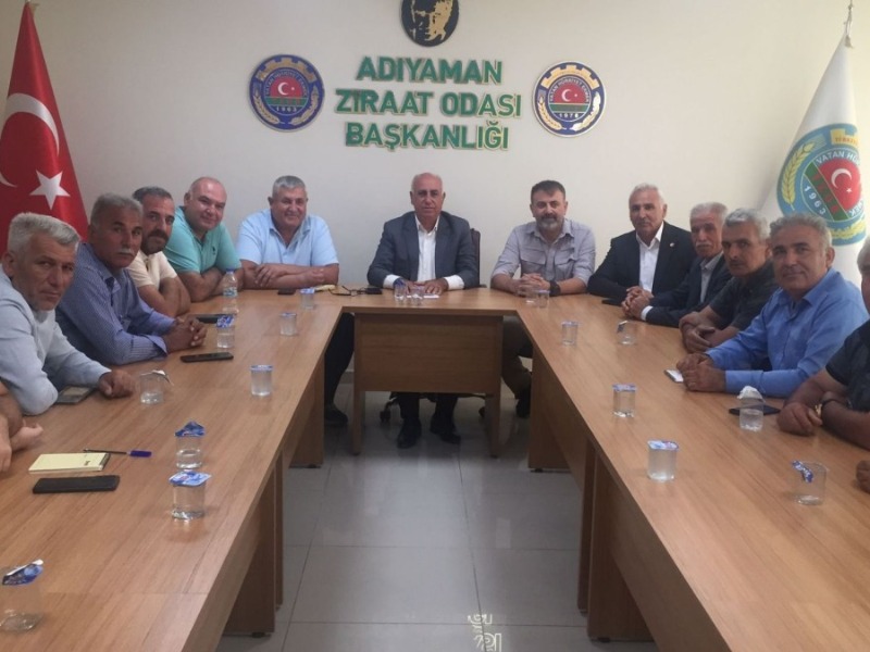 Adıyaman'da tütün fiyatlarına tepki: Ziraat Odası ve muhtarlardan sert eleştiri