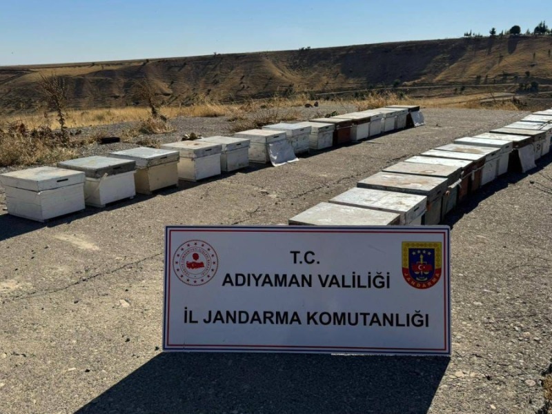 Adıyaman'da 35 arı kovanı hırsızlığına 1 gözaltı