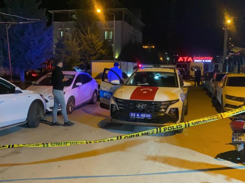 Yere yatırdıkları şahsı öldüresiye dövüp bıçakladılar