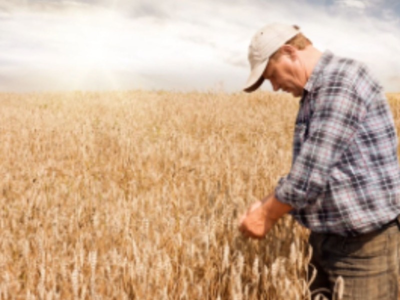 Adıyaman Tarım ve Orman İl Müdürlüğü'nden ÇKS uyarısı: 31 Aralık'ta sona eriyor