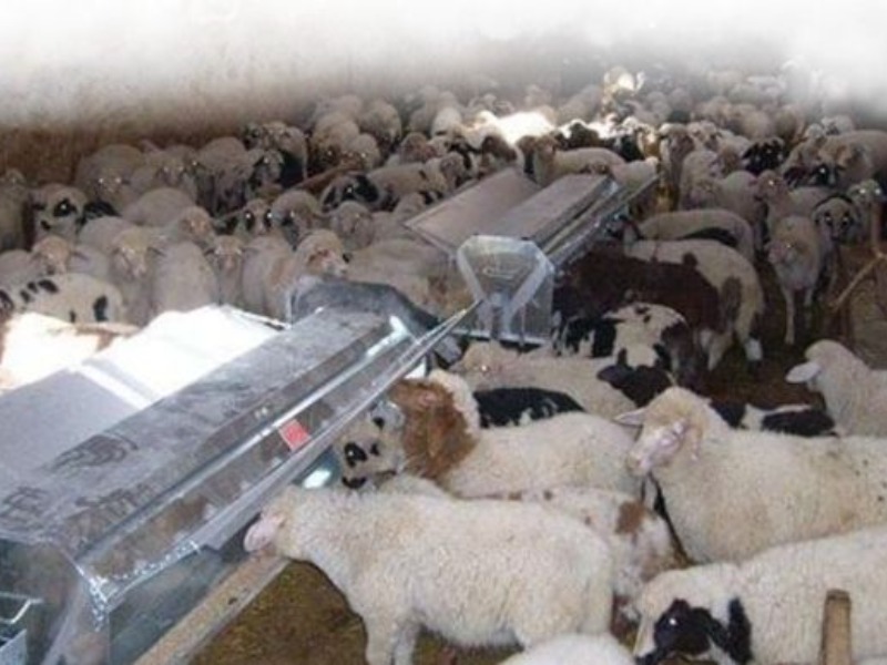 Adıyaman'da Hayvancılığa Destek