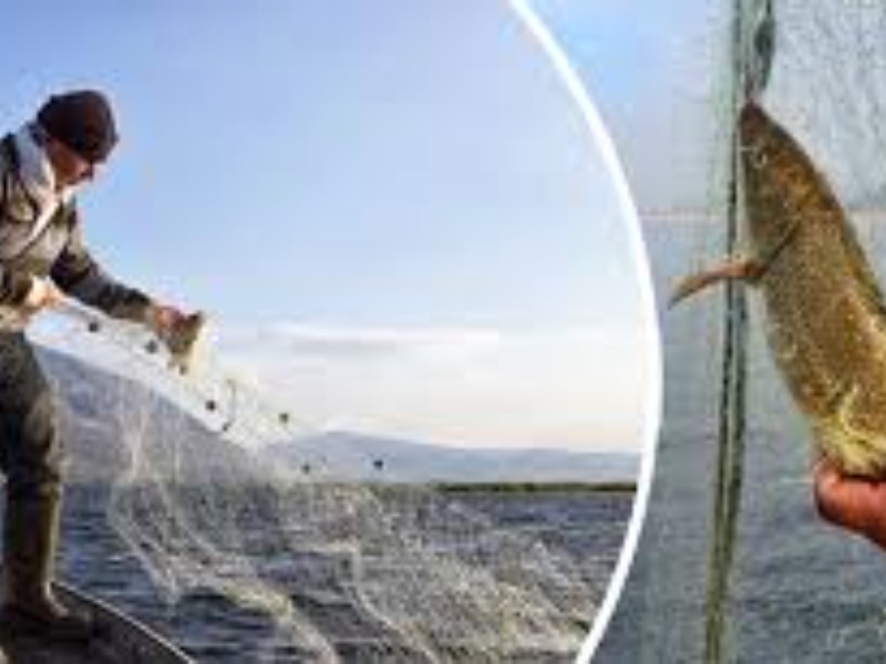 Adıyaman'da su ürünleri avcılığına 3 aylık yasak