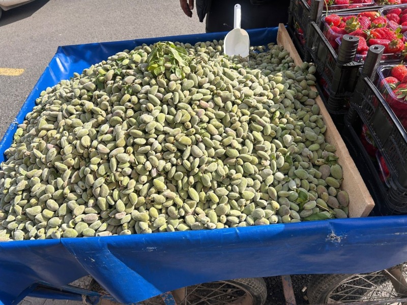 Badem, Adıyaman tezgahlarında yerini aldı