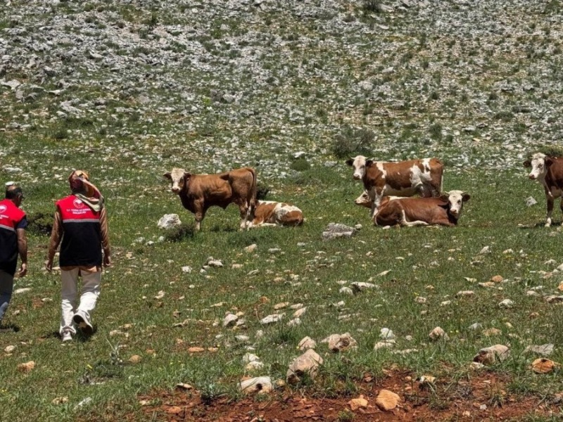 Adıyaman'da