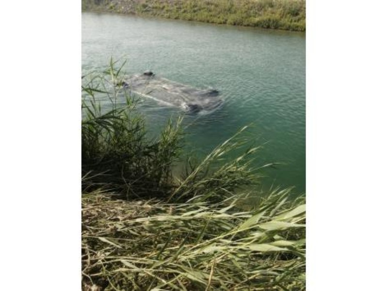 Sulama kanalına düşen otomobilden 3 erkek cesedi çıktı