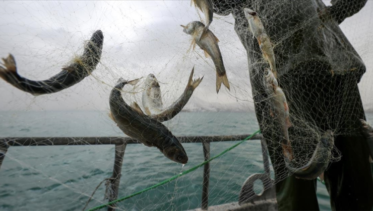 Balıkçılara destek ödemesi yapılacak