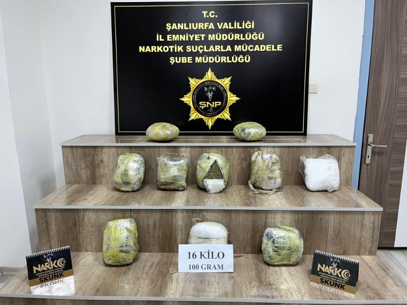 16 kilo skunk ele geçirildi